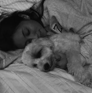 Meet your Posher, Lily